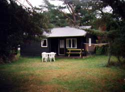 Bild1