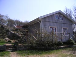 Bild1