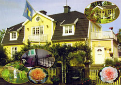 Bild1